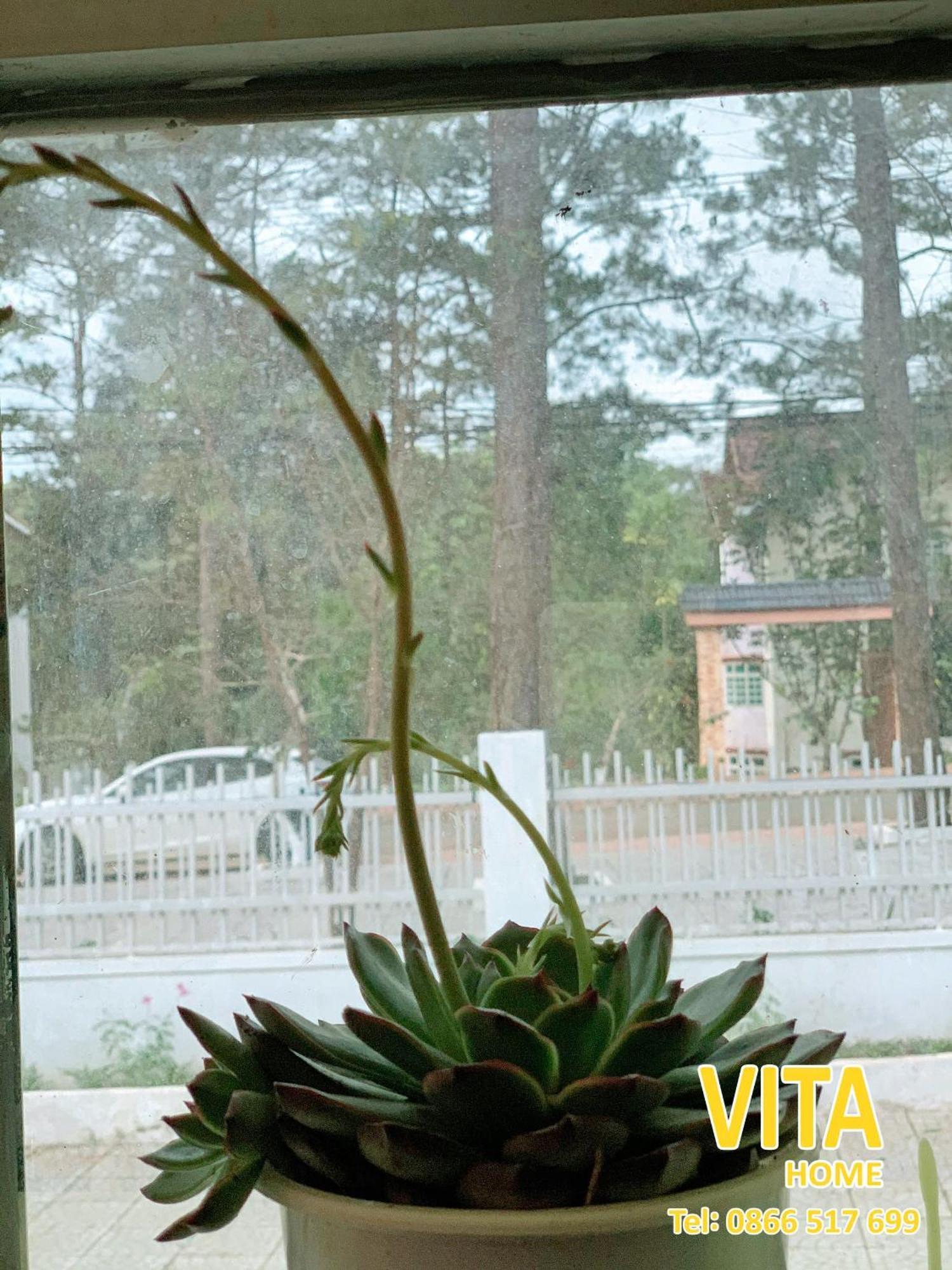 Vita Homestay Mang Den Kon Von Kla Exterior photo